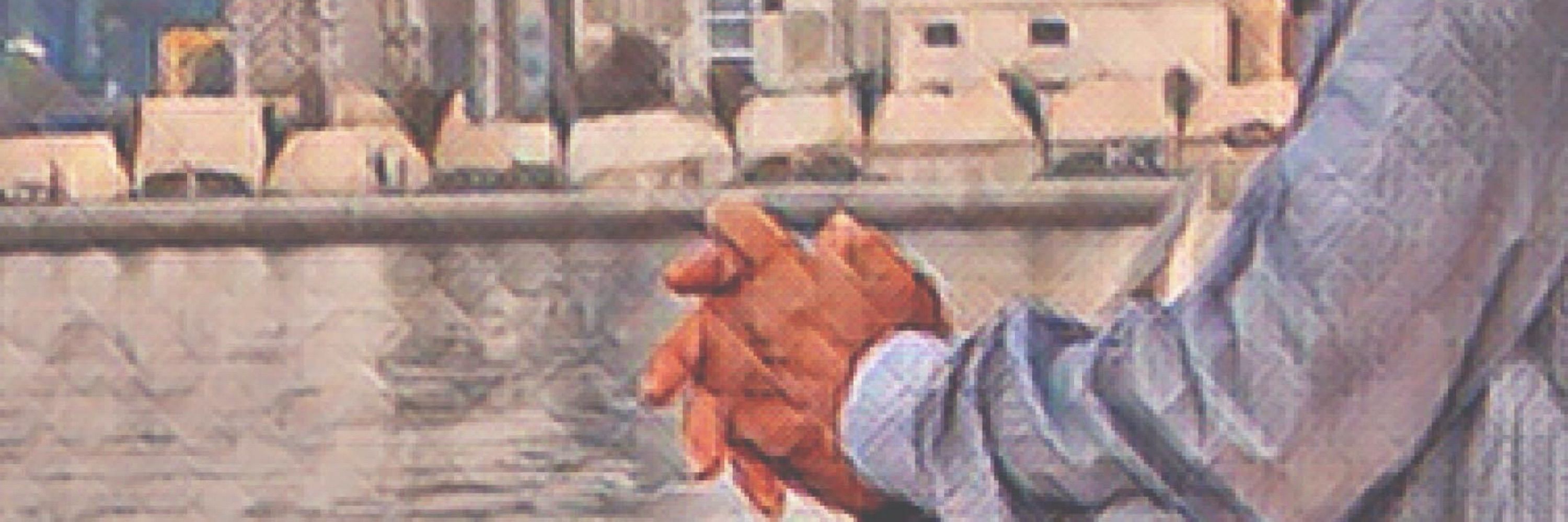 Mahnur Roushan