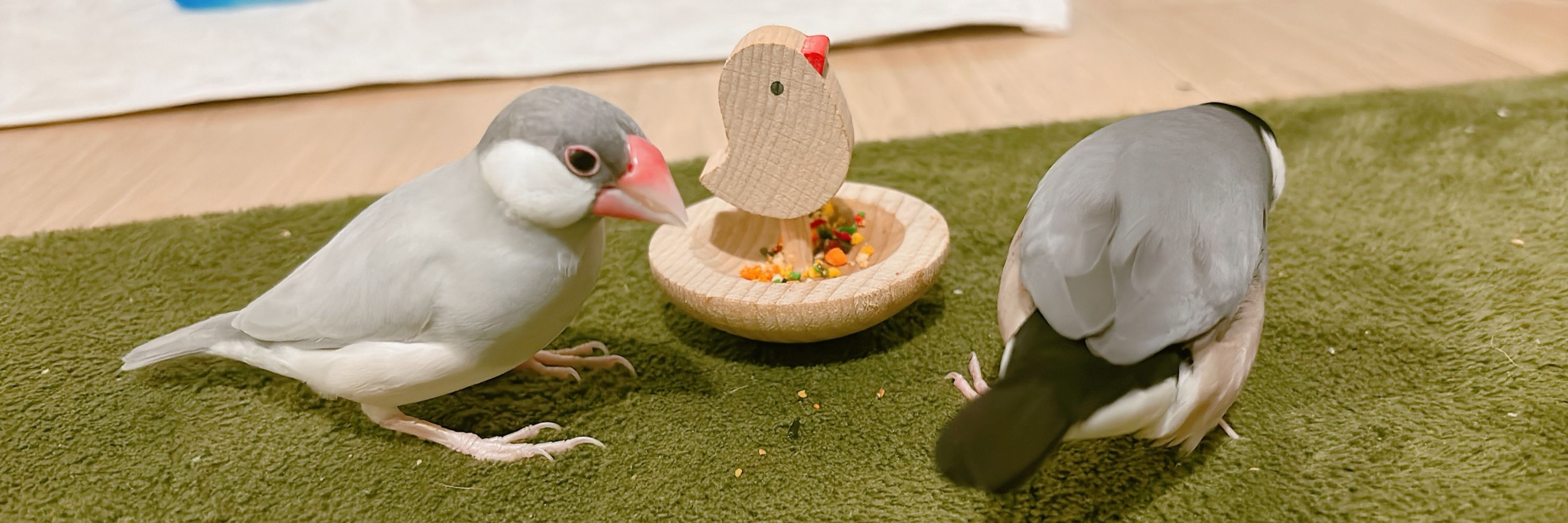 べべっち