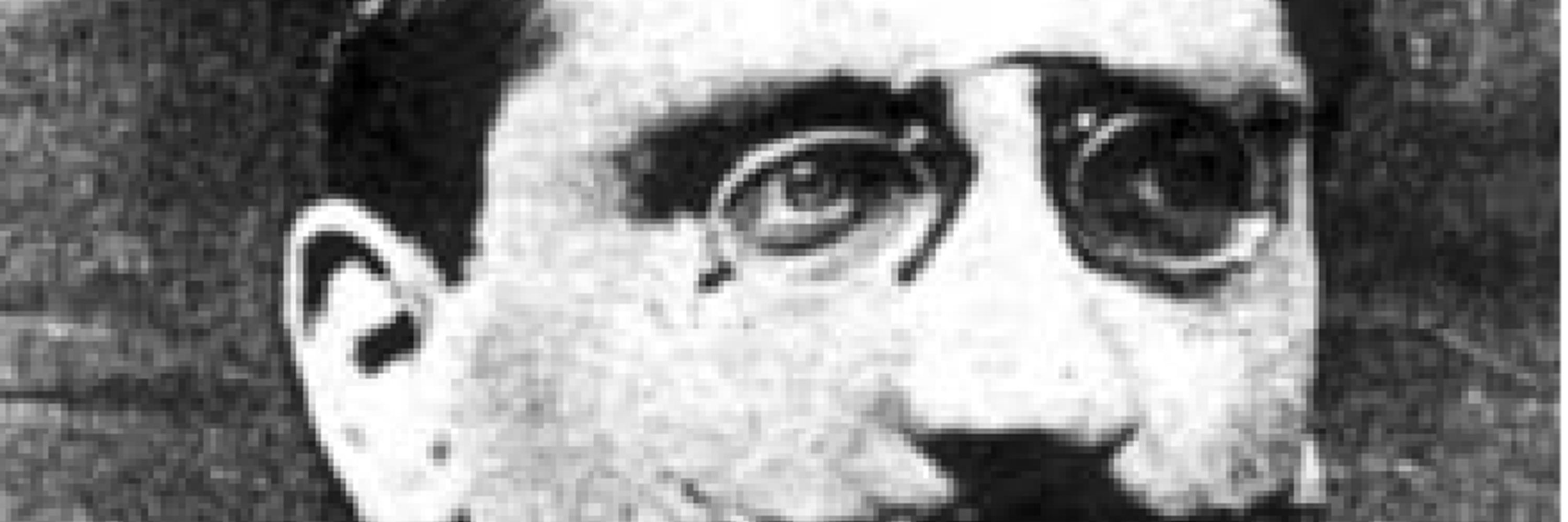 Bob Flagg