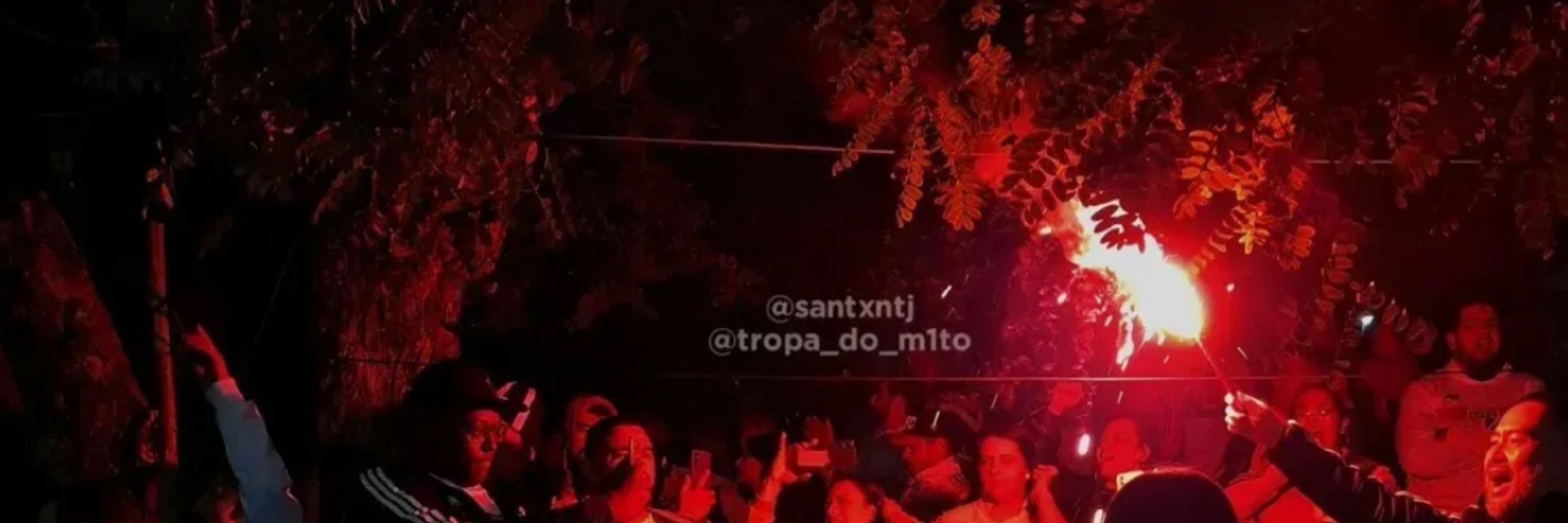 Libero com L de Louco