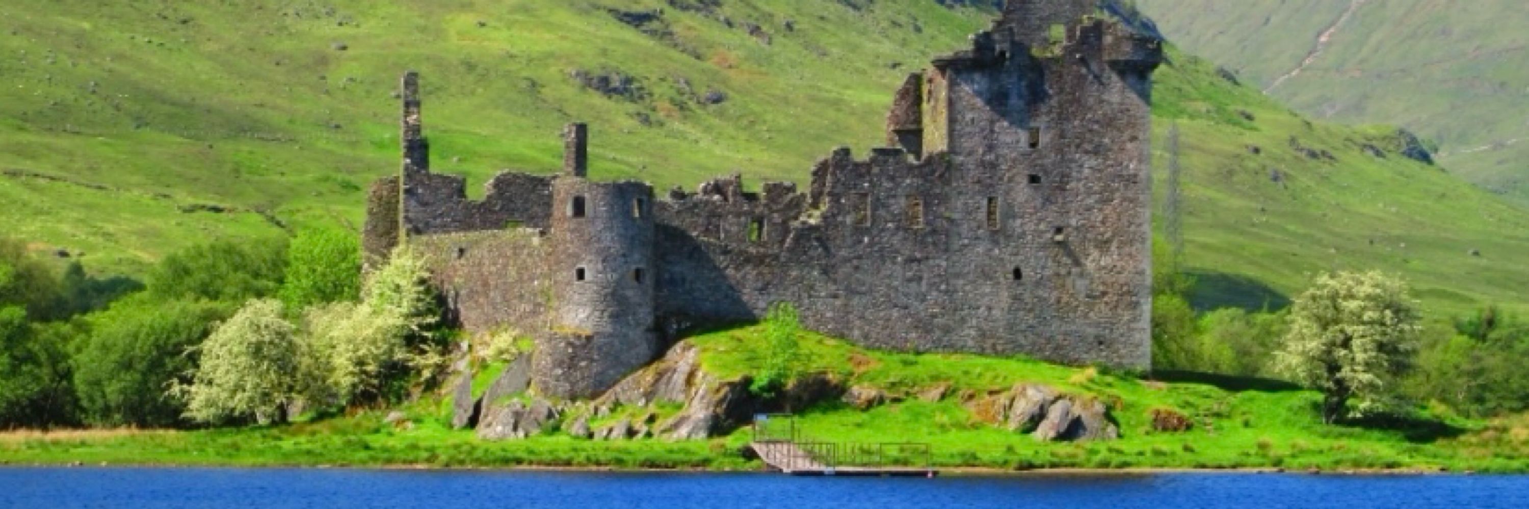 Fraser🏴󠁧󠁢󠁳󠁣󠁴󠁿☘️