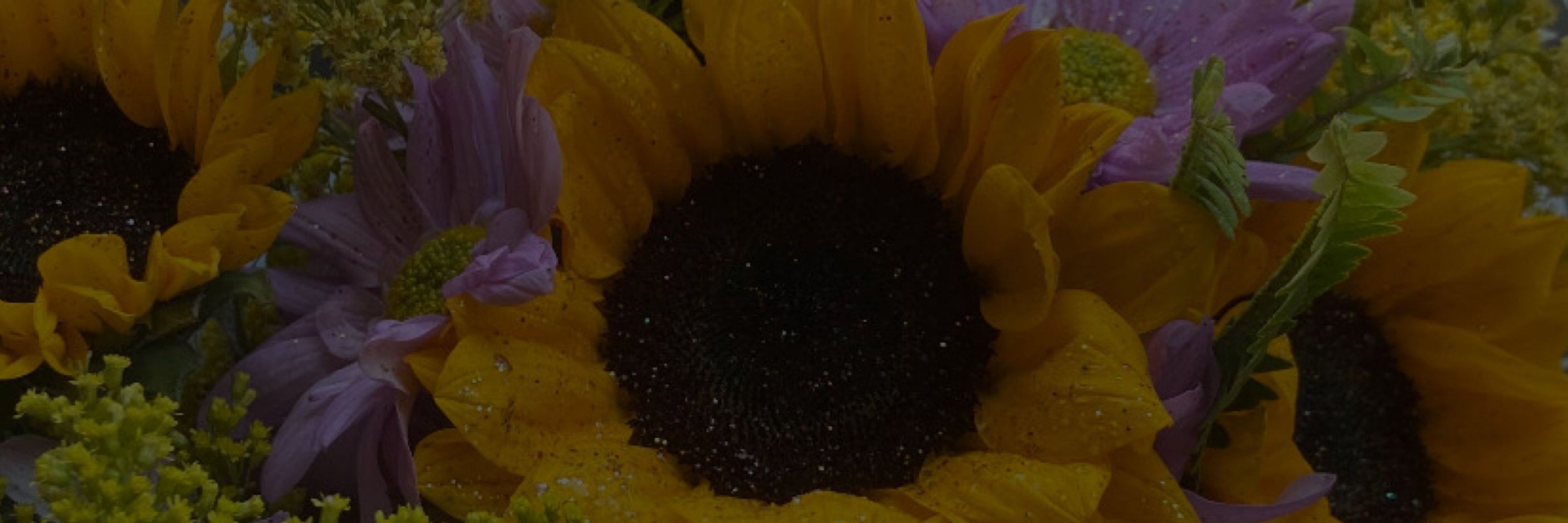 🌻