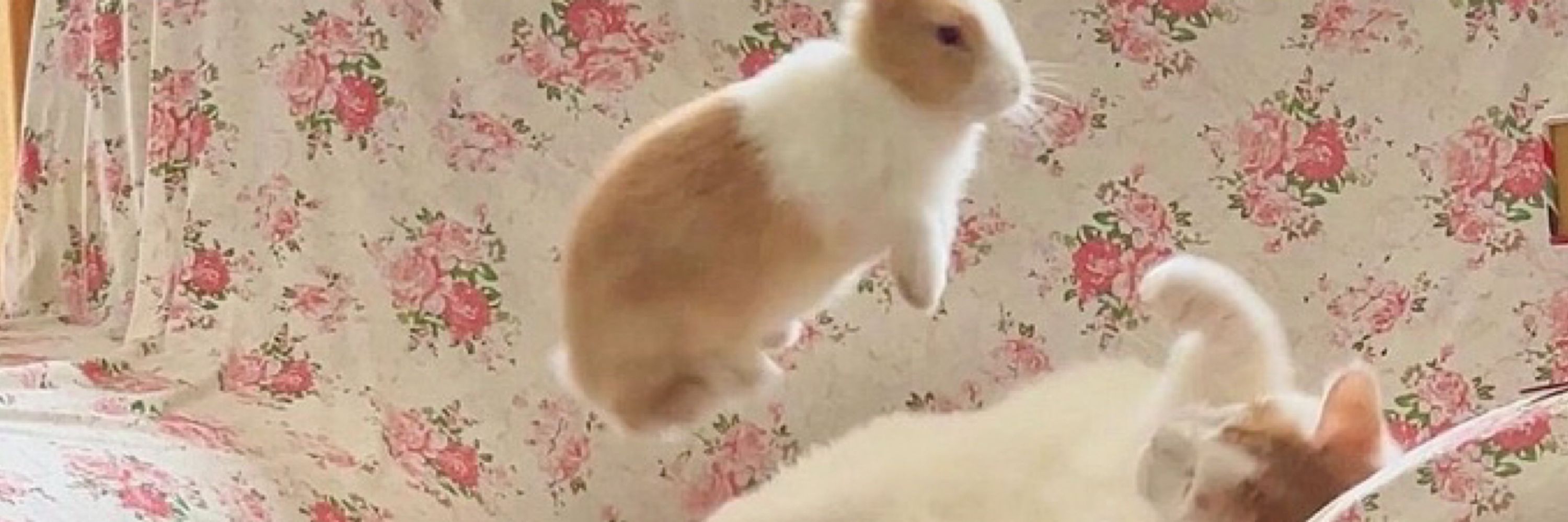 vale