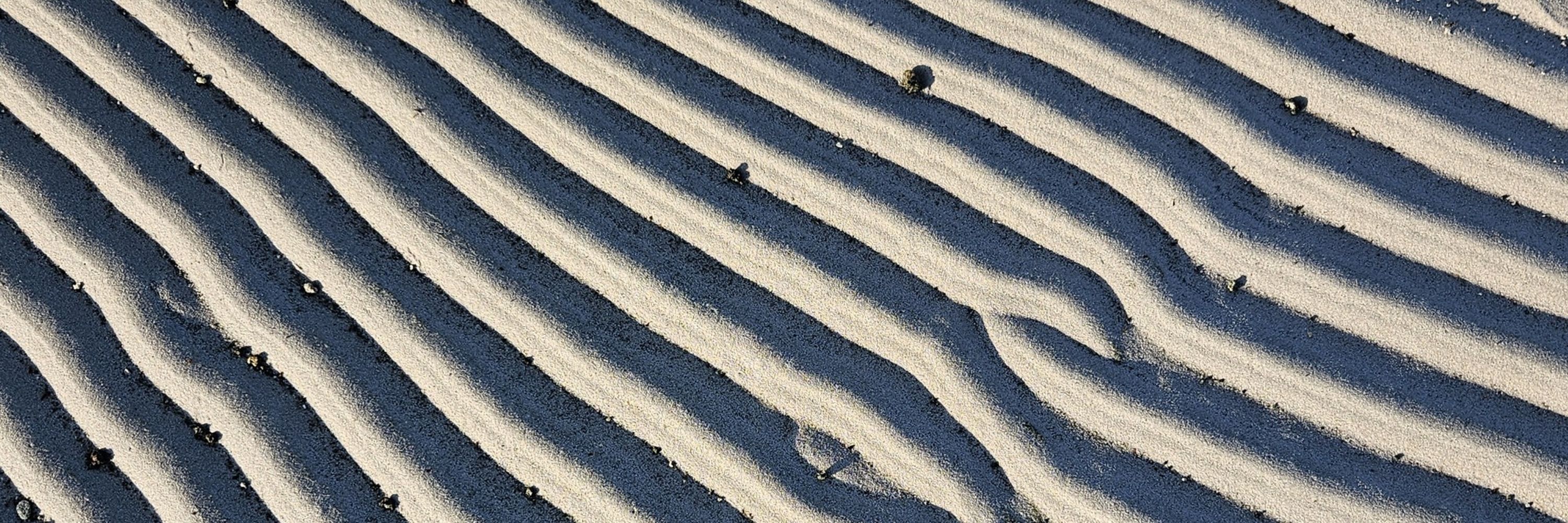Lady of the Great Salt Lake