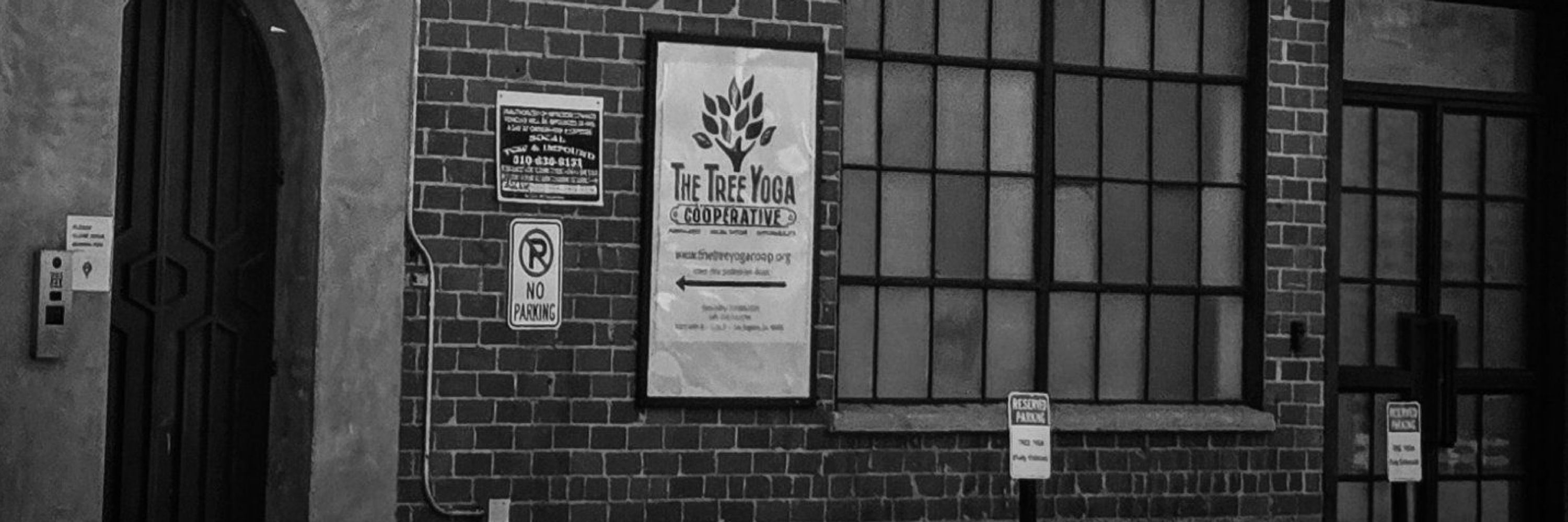The Tree Yoga Coop