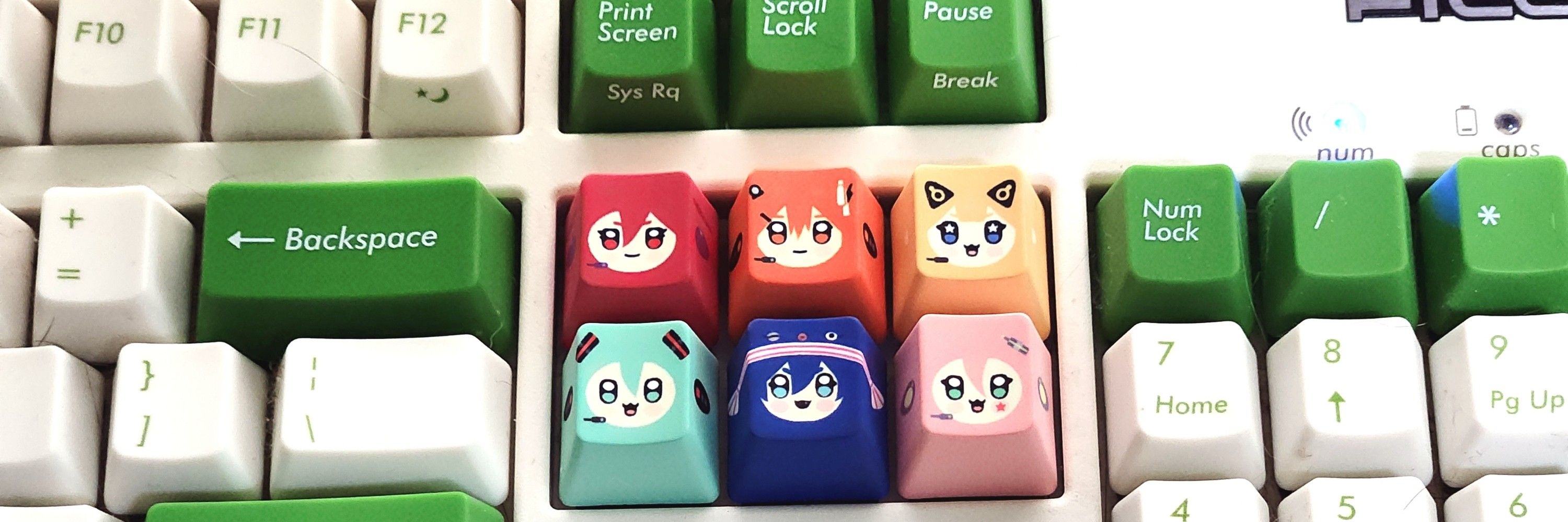 큐보🪼