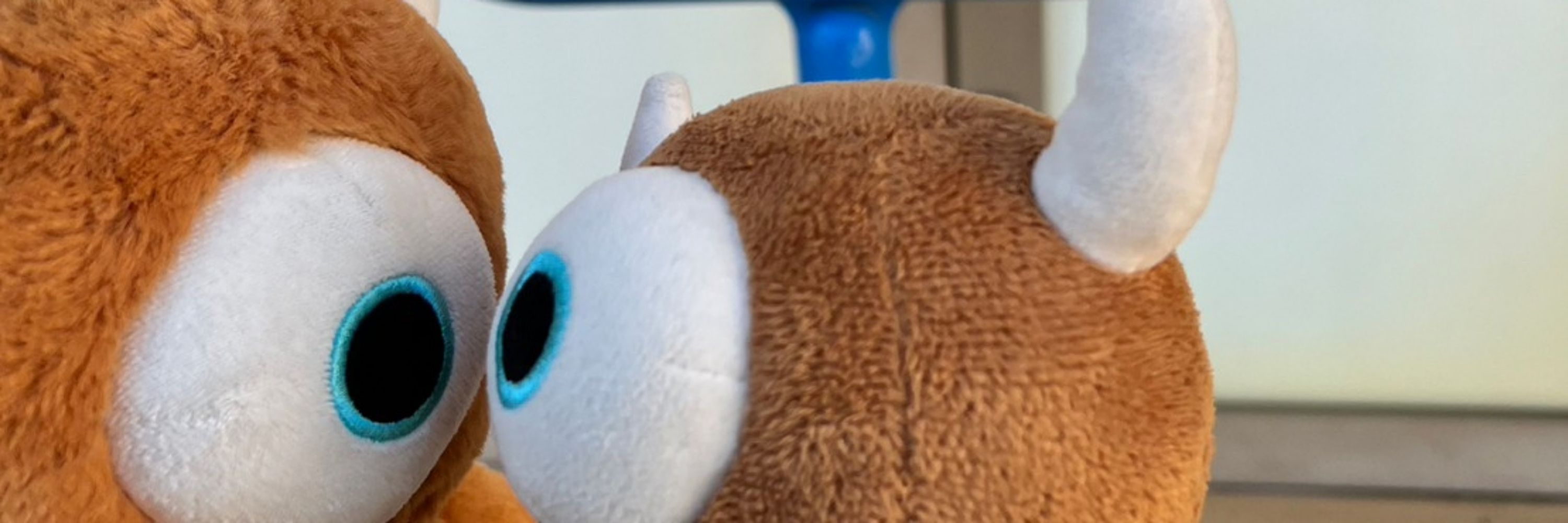 ﾄﾞﾝ