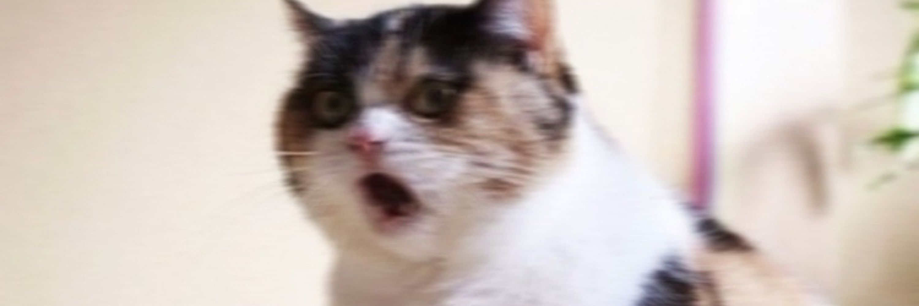 Dngrfvce