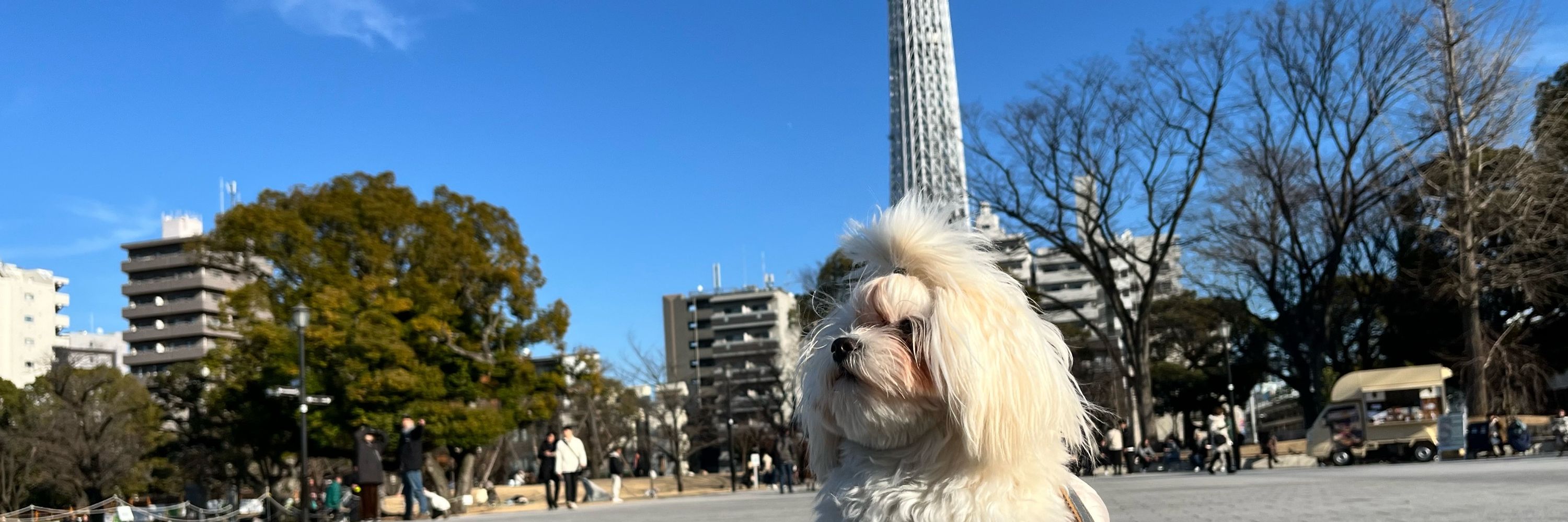 くろさび