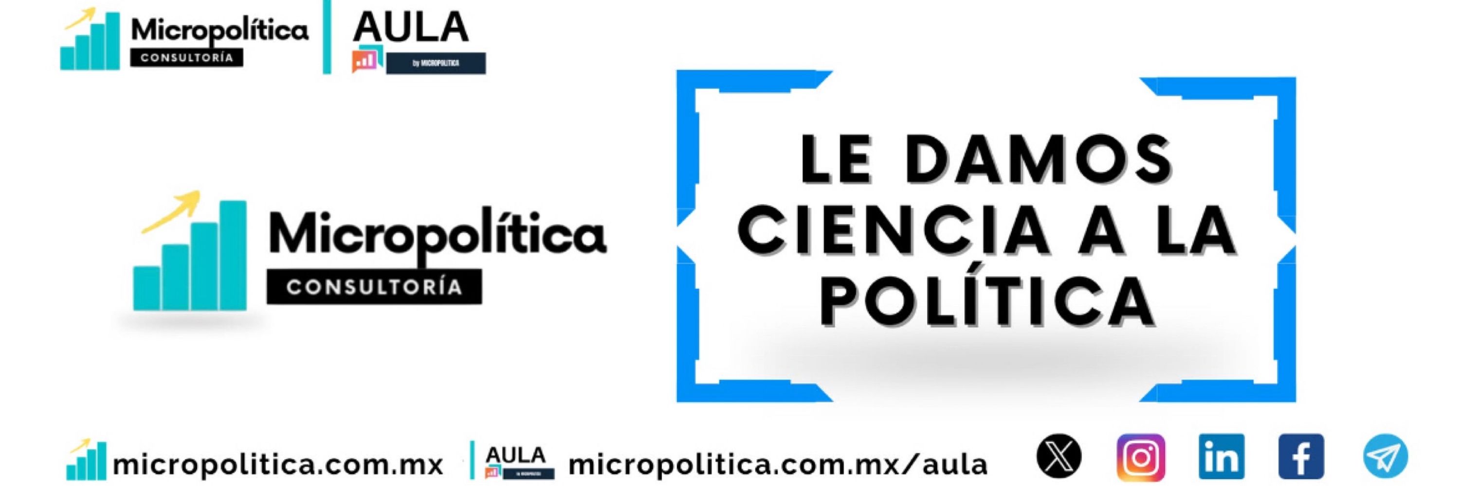 Micropolítica Consultoría