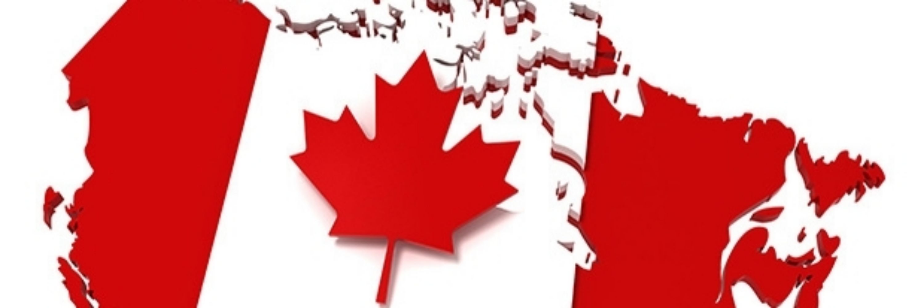 🇨🇦 The Cantankerous Canuck 🇨🇦