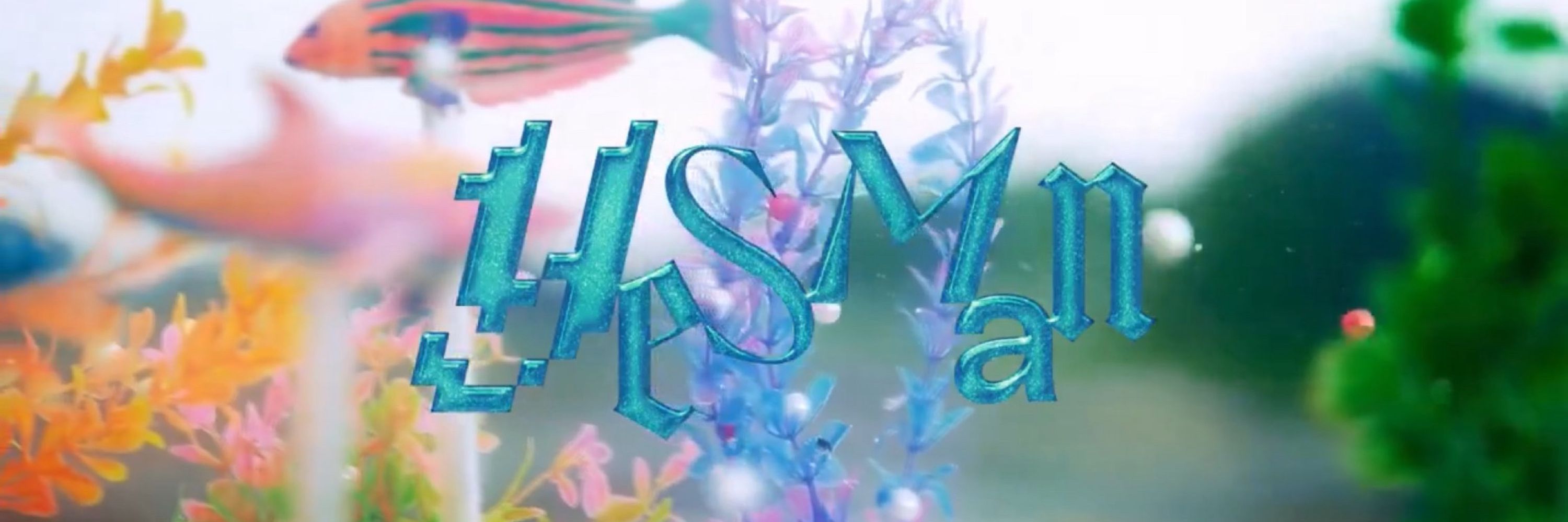 🎲 Pinjia 🐠🩵