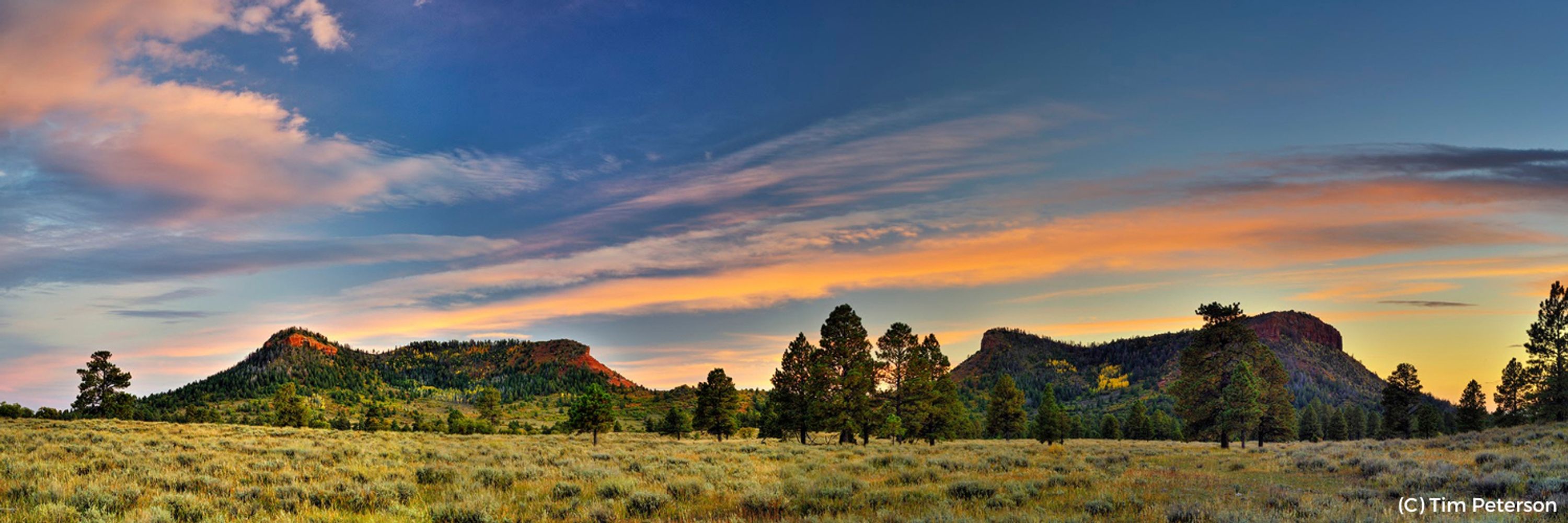 Bears Ears Inter-Tribal Coalition
