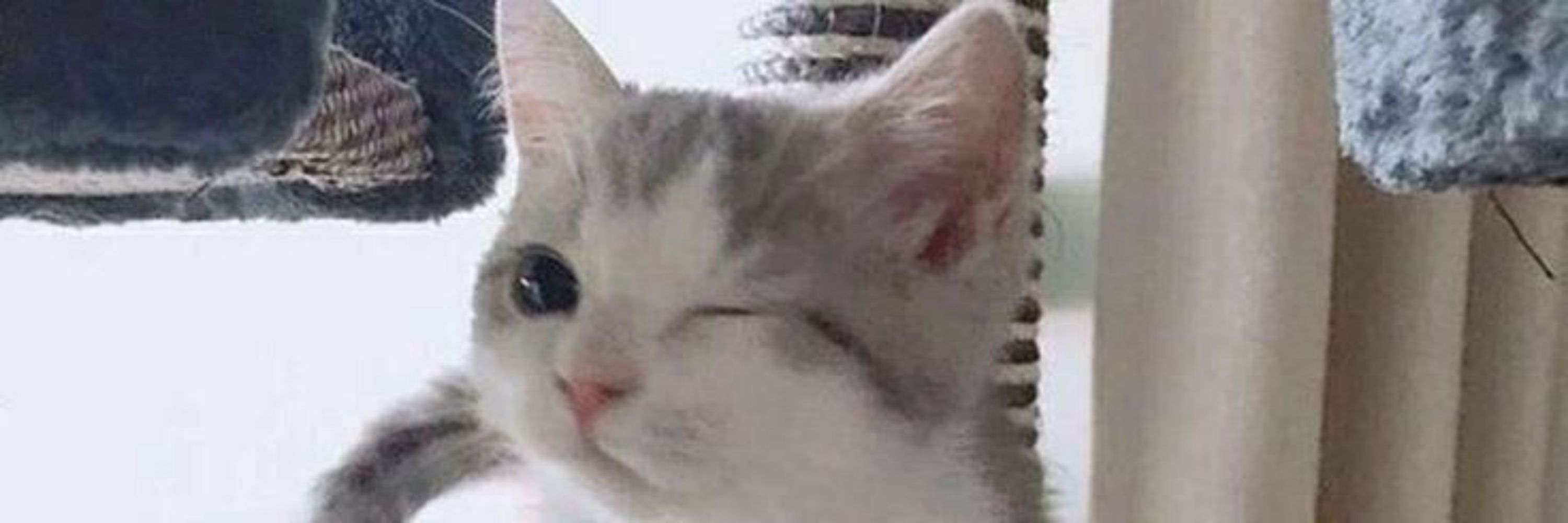 nana