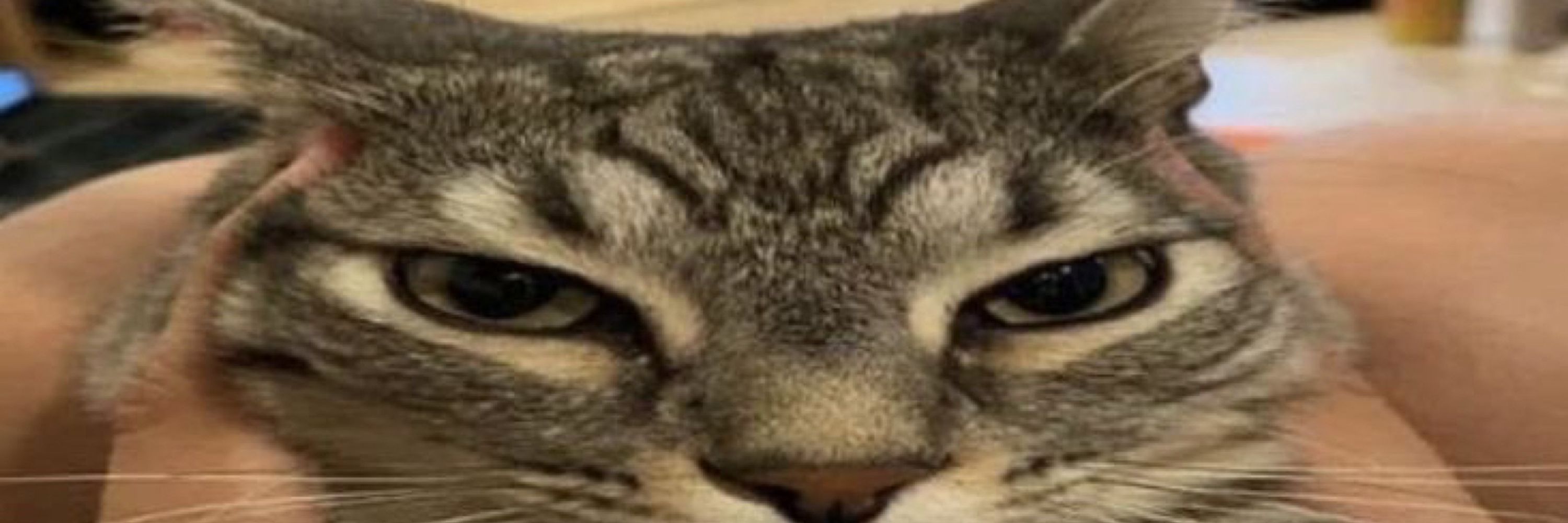 tex