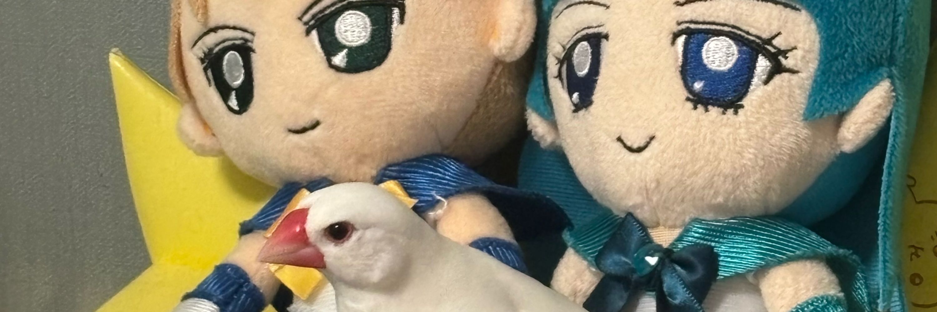 ぷすほと