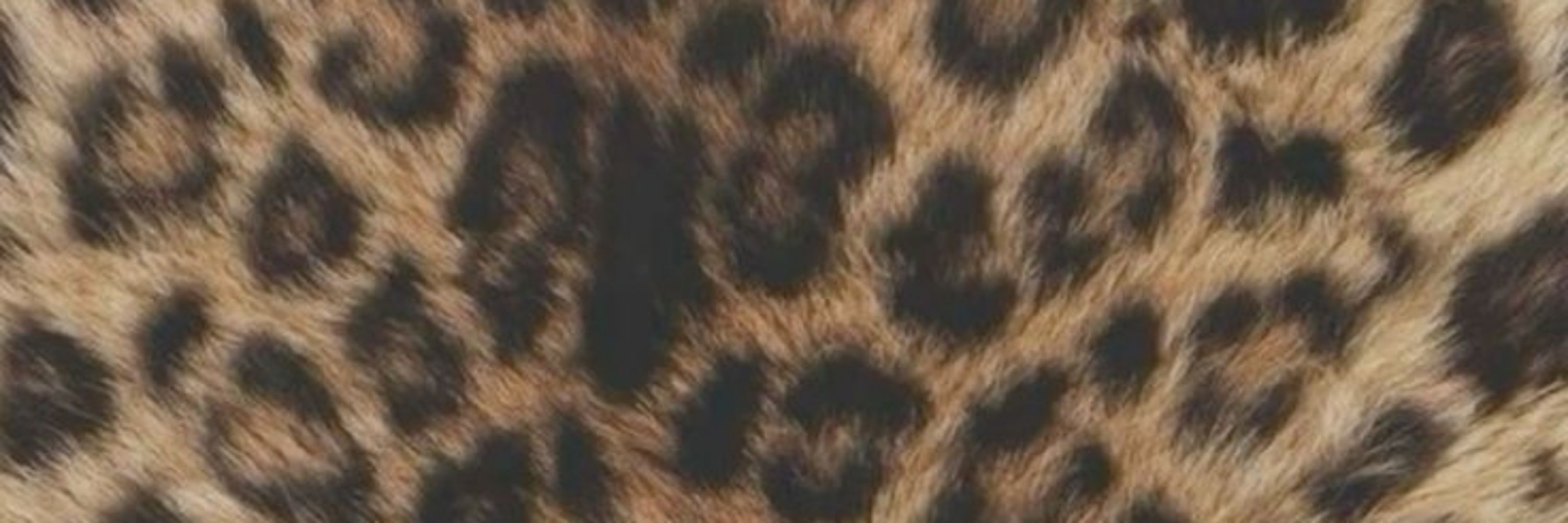 Lua