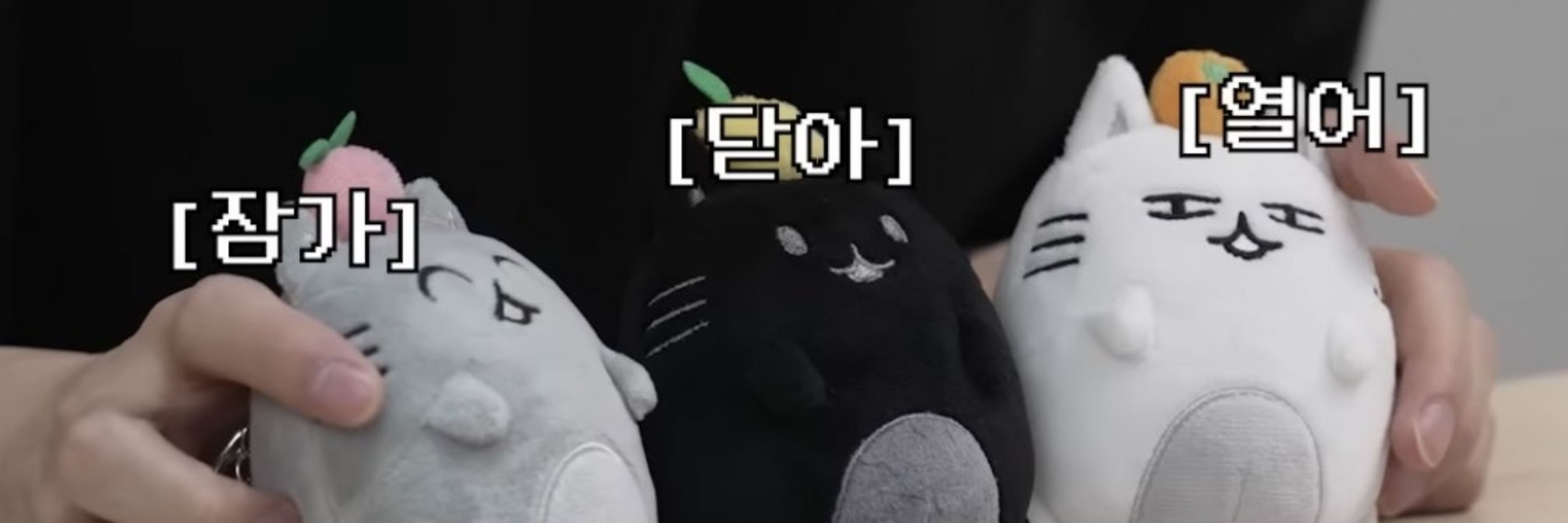 란프