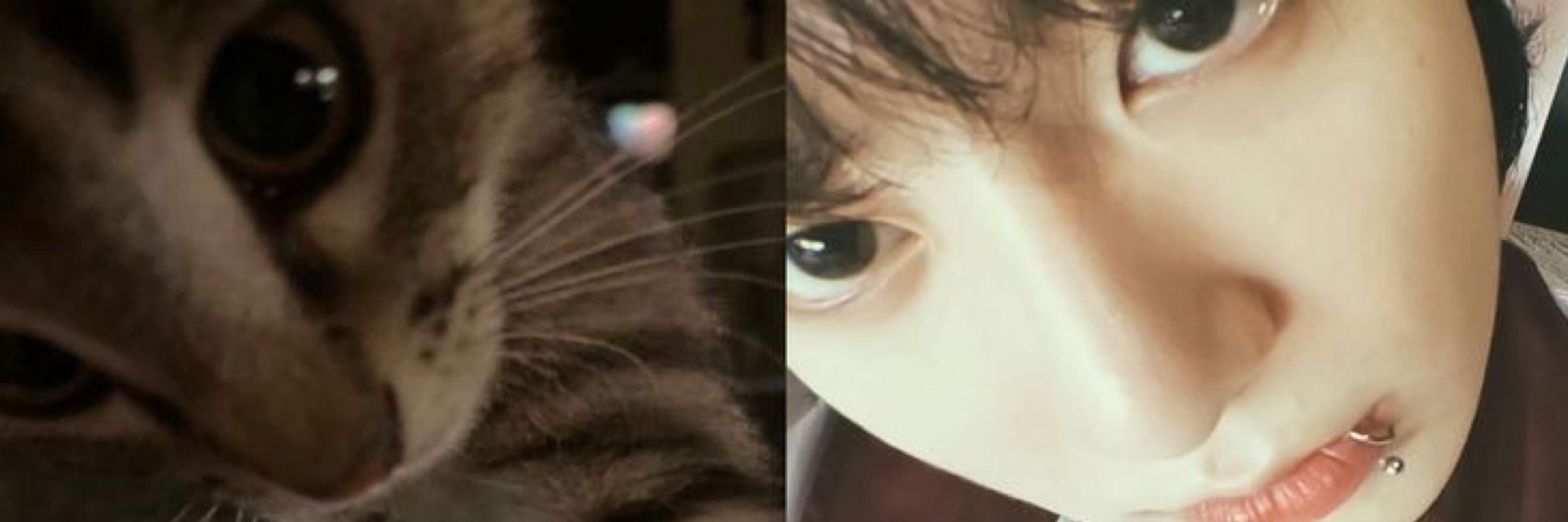 are you sure, sah?! 