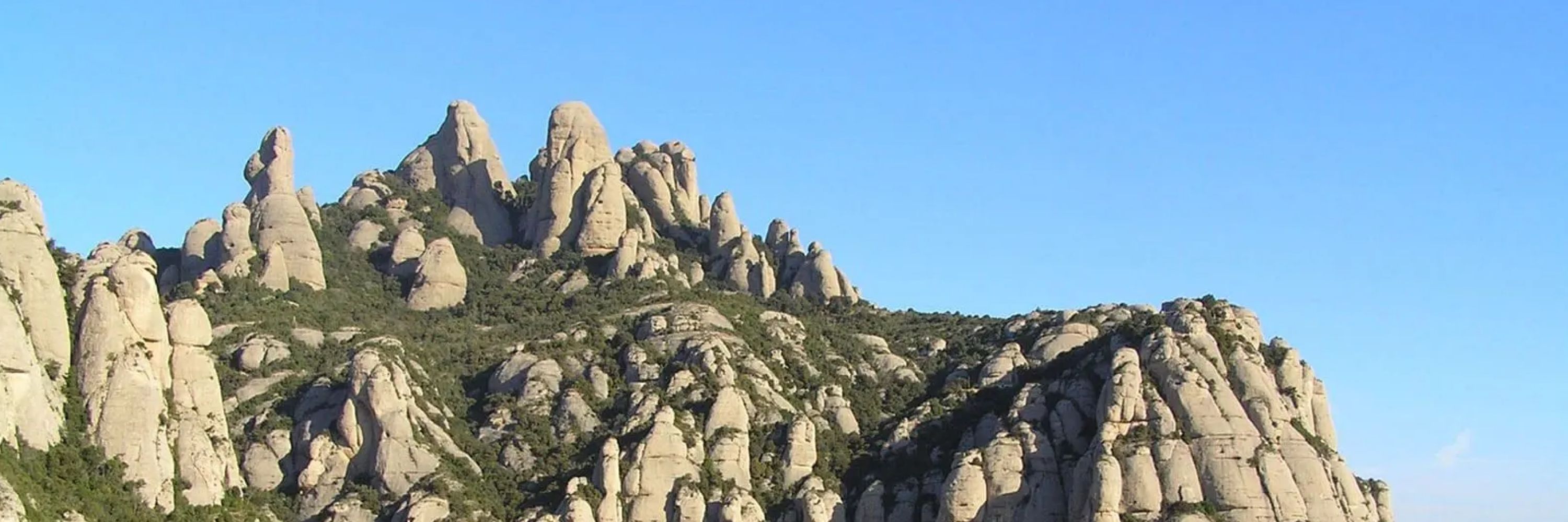 La Montse