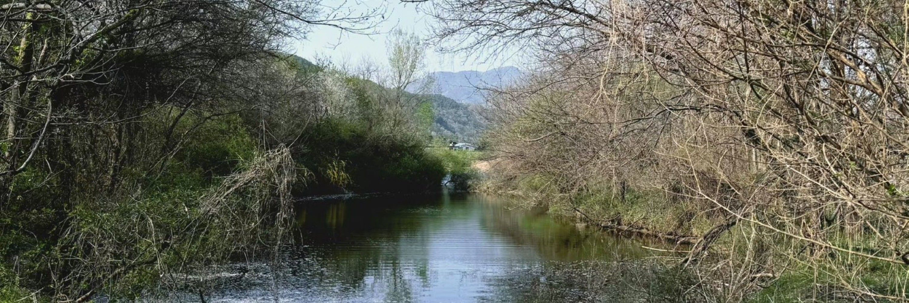 Kuncoro. 