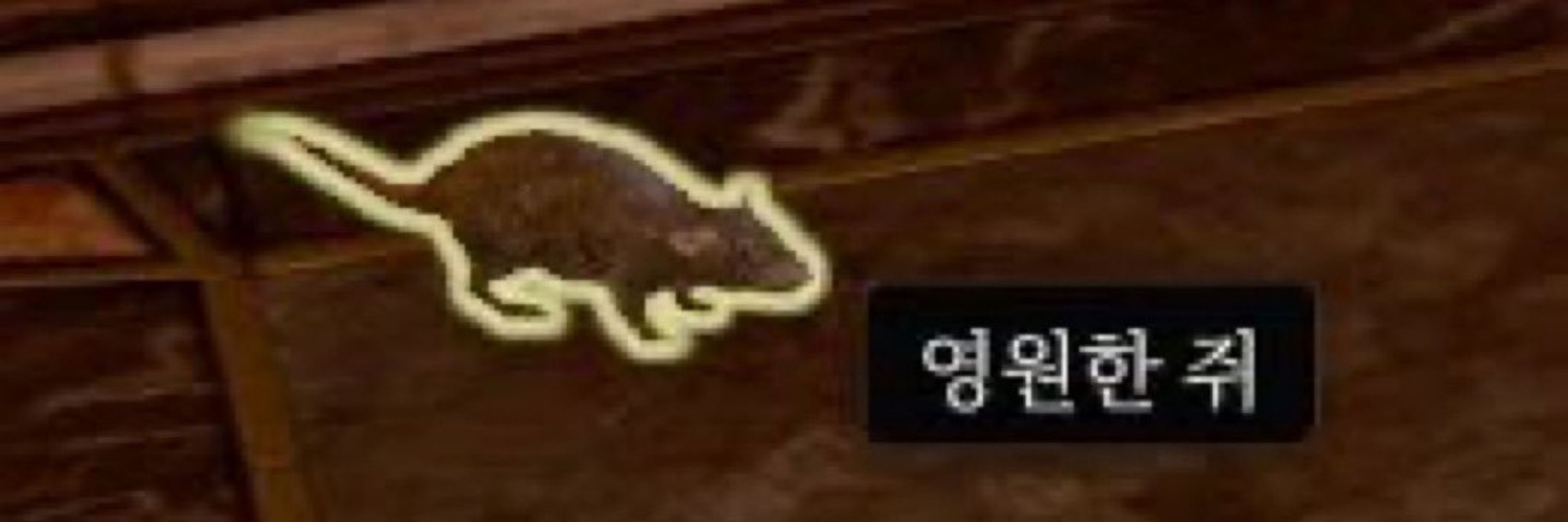 투듀