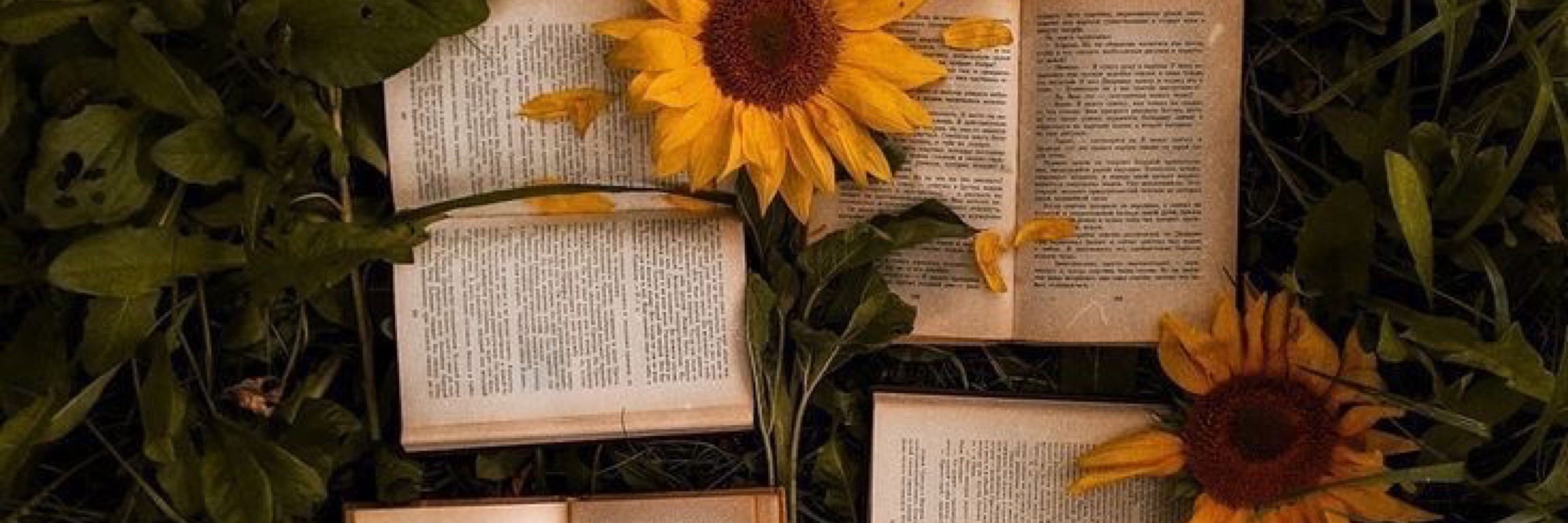 BookishCori