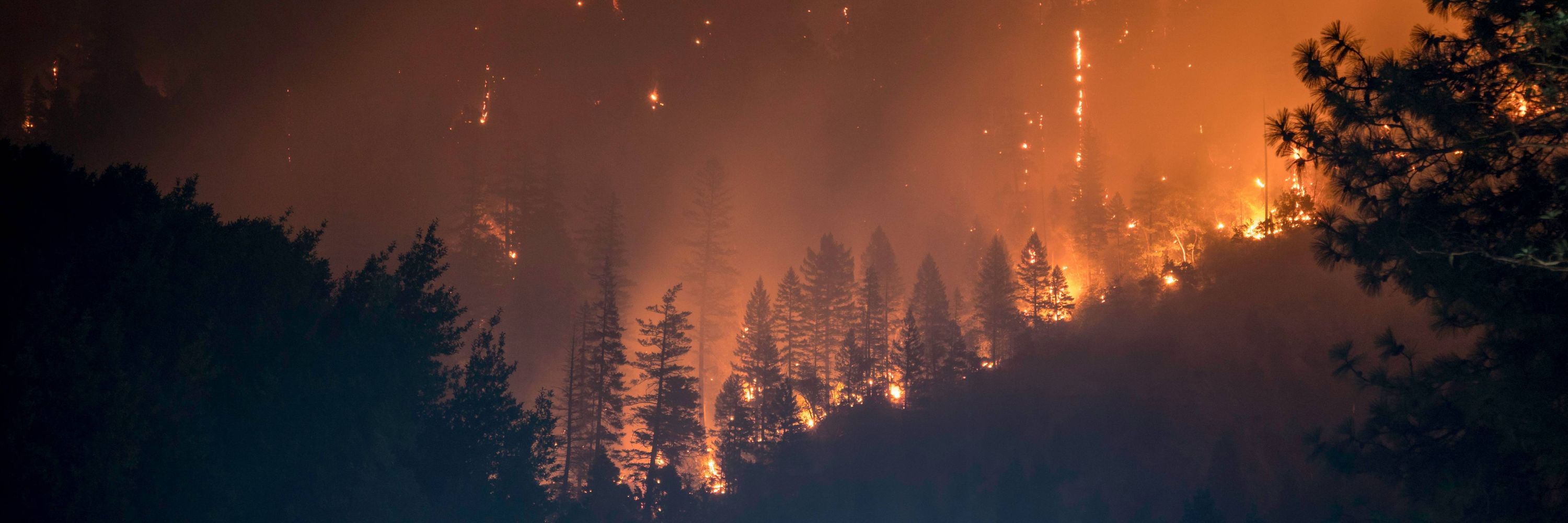 FirEUrisk