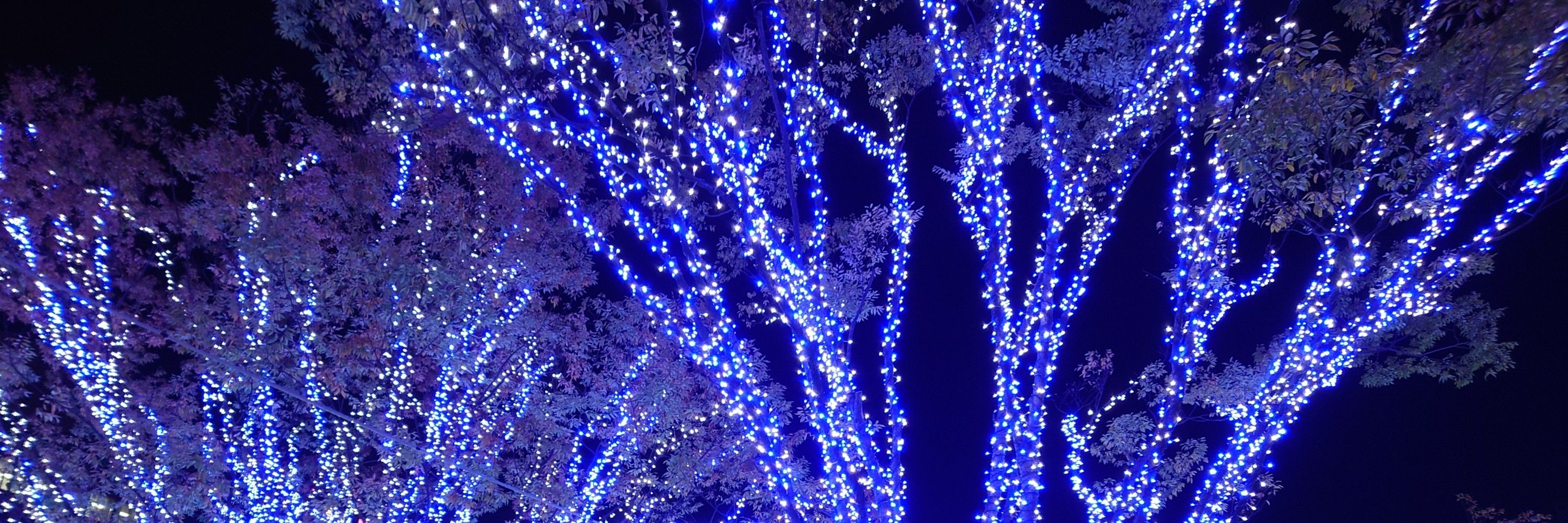 ねの字