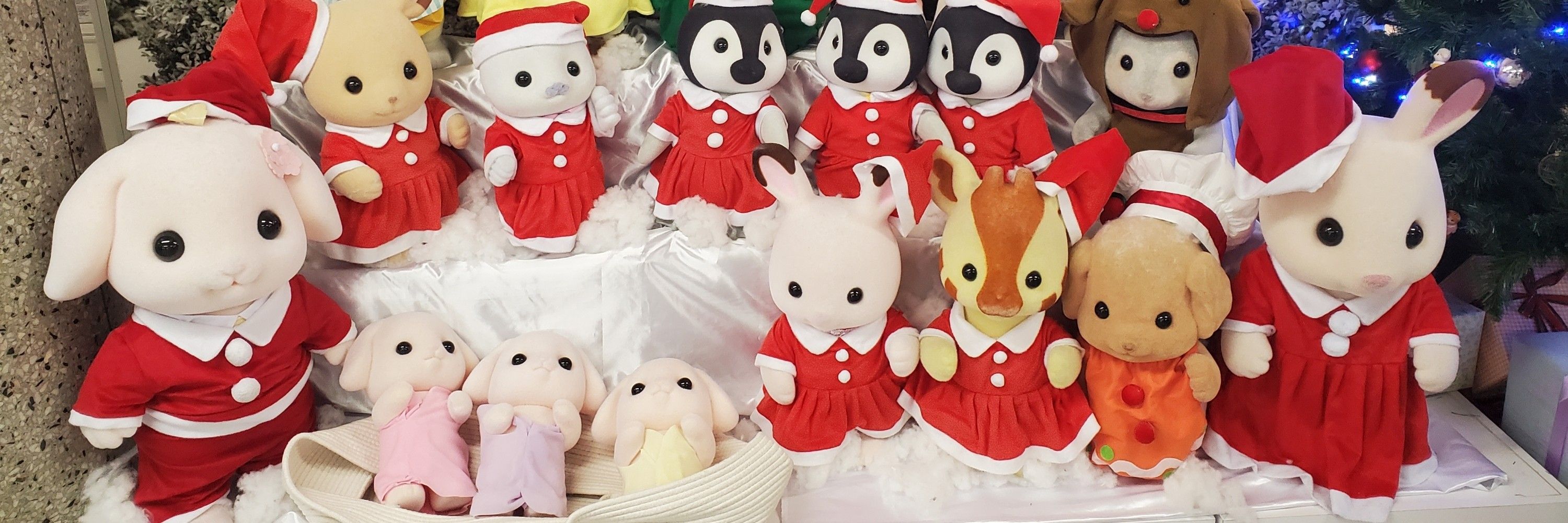 のあ