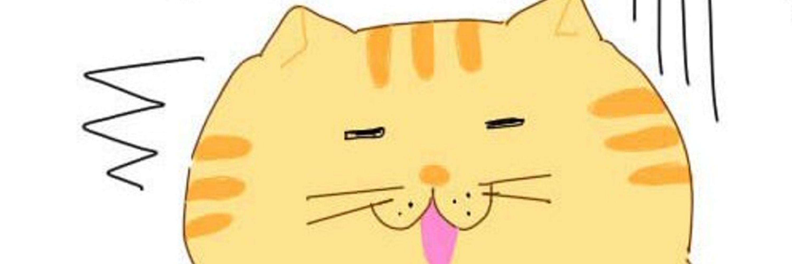 kim(｡╹ω╹｡)