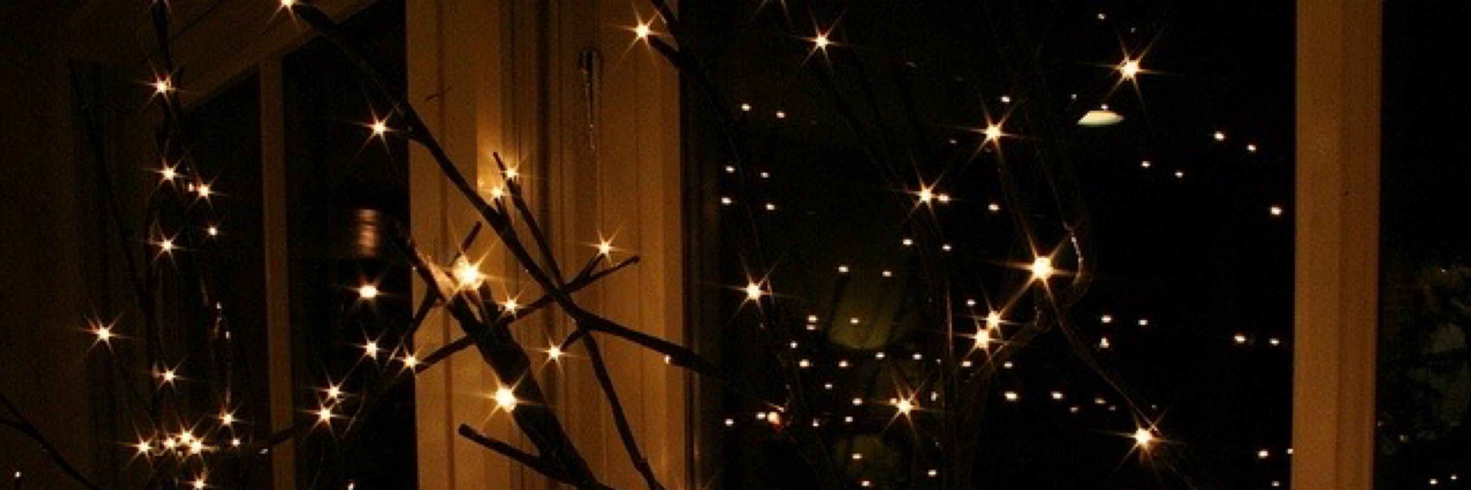 ‎⋆˚⟡ ࣪tinker 📖🌲