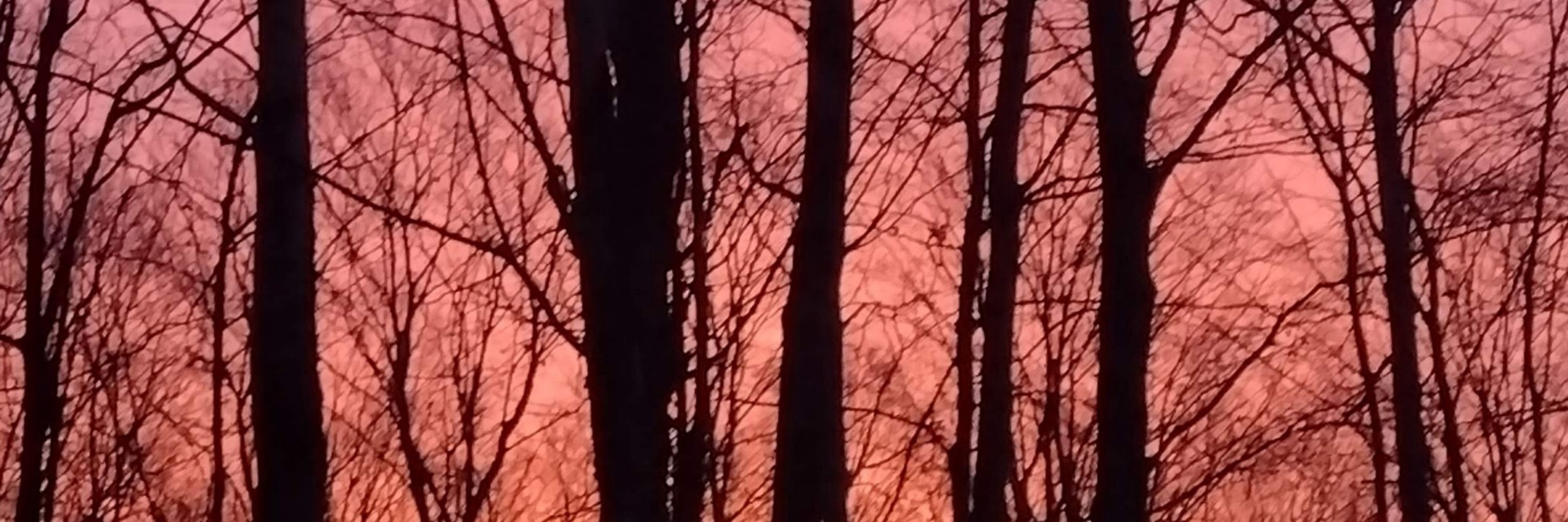 Michigan Sunset