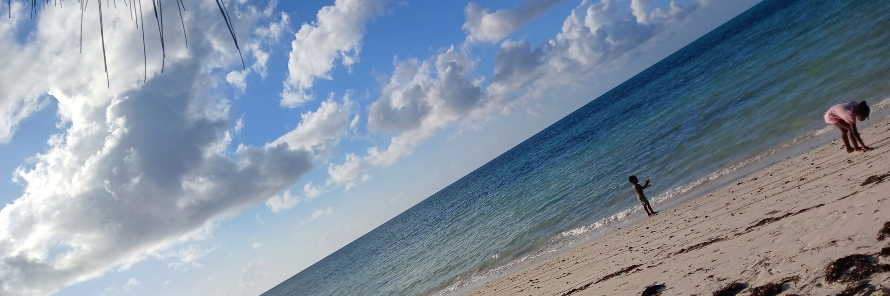 Discoverher 🇧🇸× 🇹🇨 🧑🏾‍🦱🌻🌹