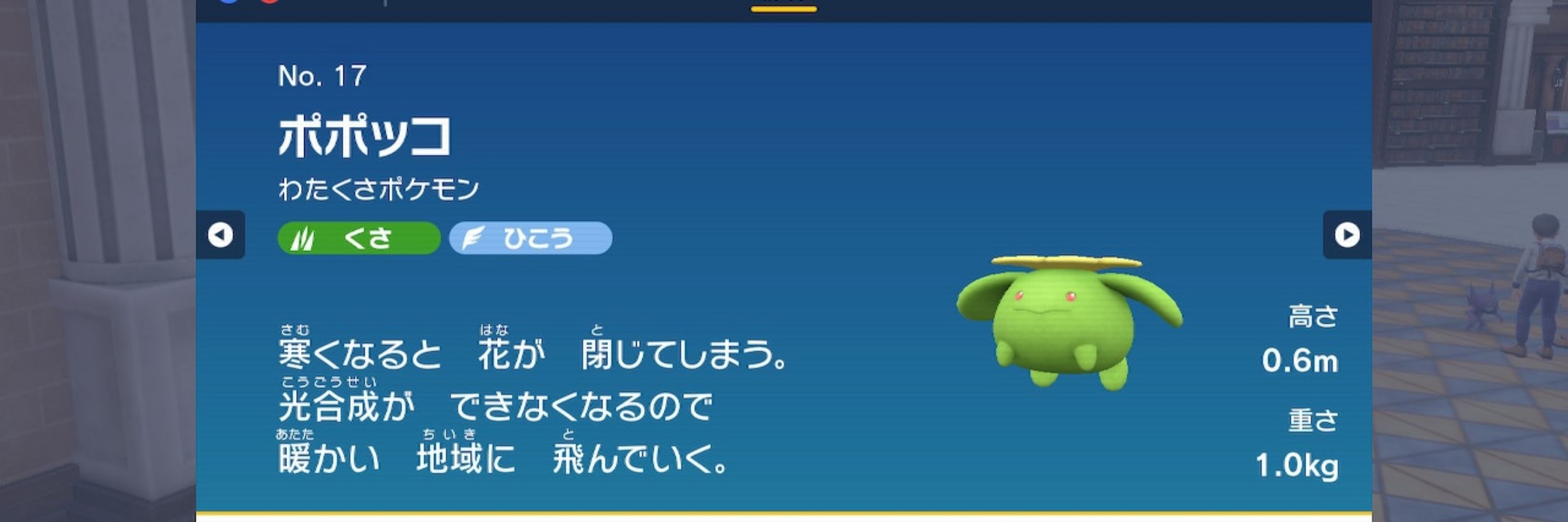 つるぎ草書記🌿⚔️🪞🫧🐳🤍👑💎