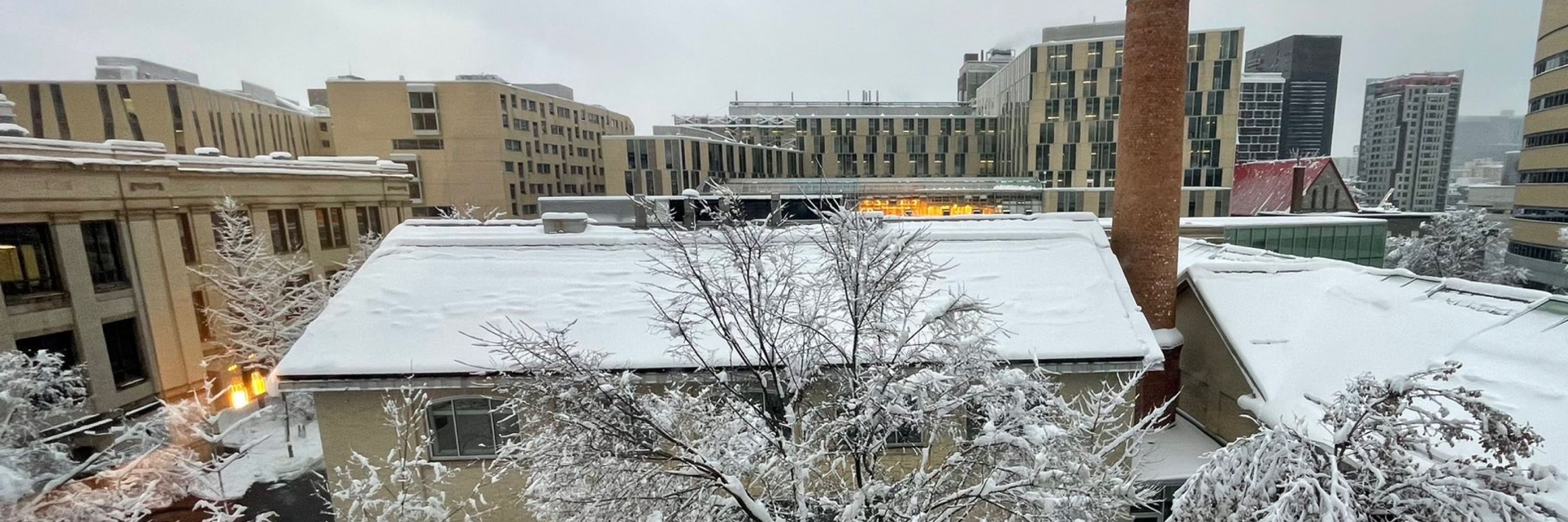 Chimie UQAM