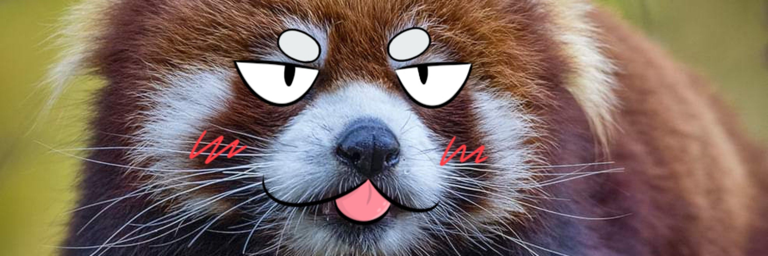 Kaitoru
