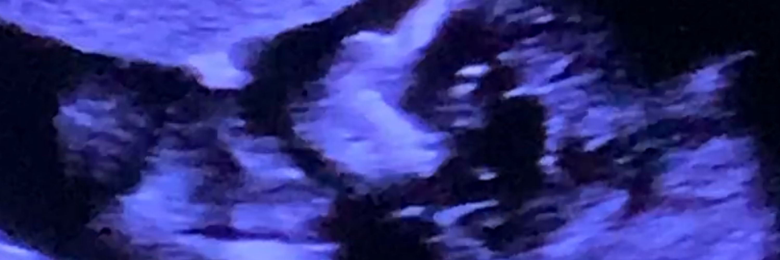 Vic