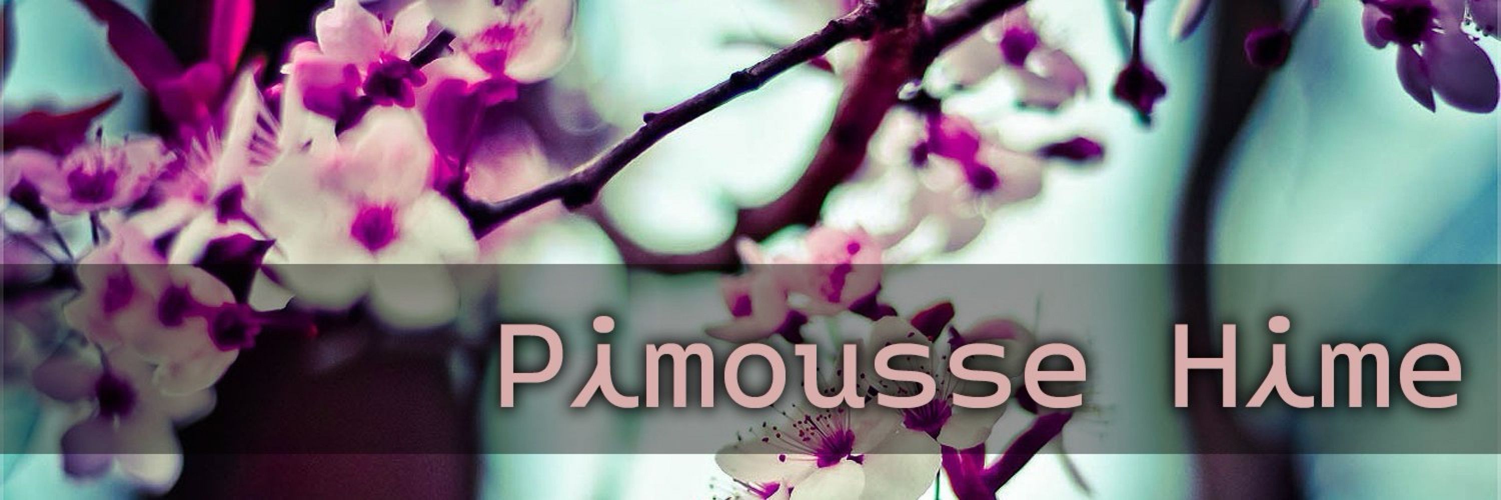 Pimousse Hime | #VtuberFR 