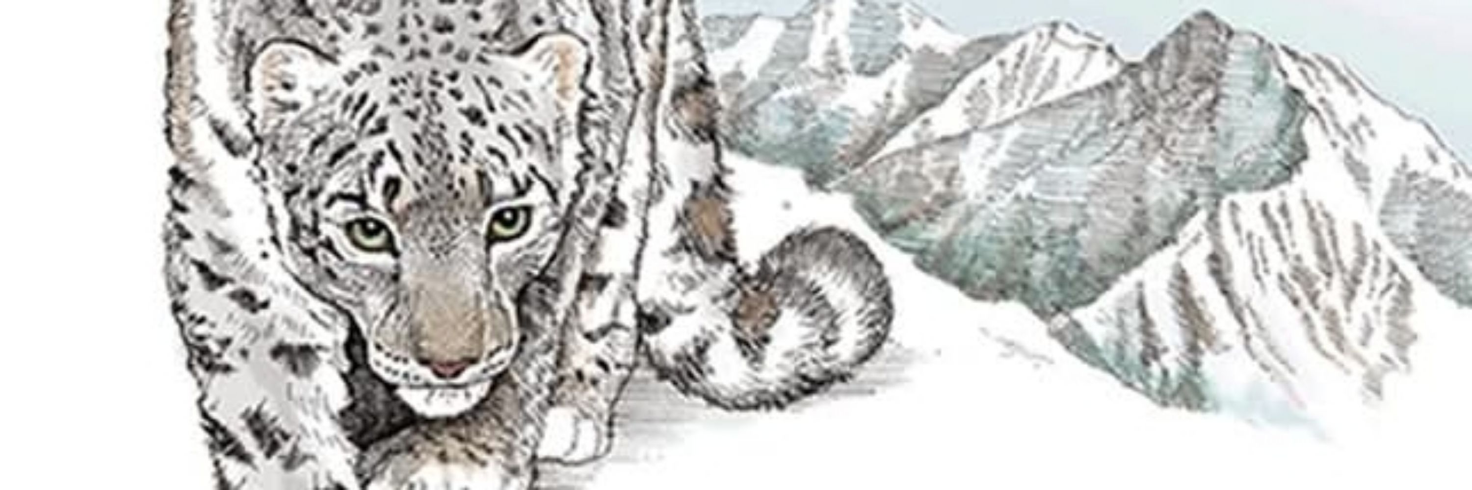 Snow Leopard Conservancy
