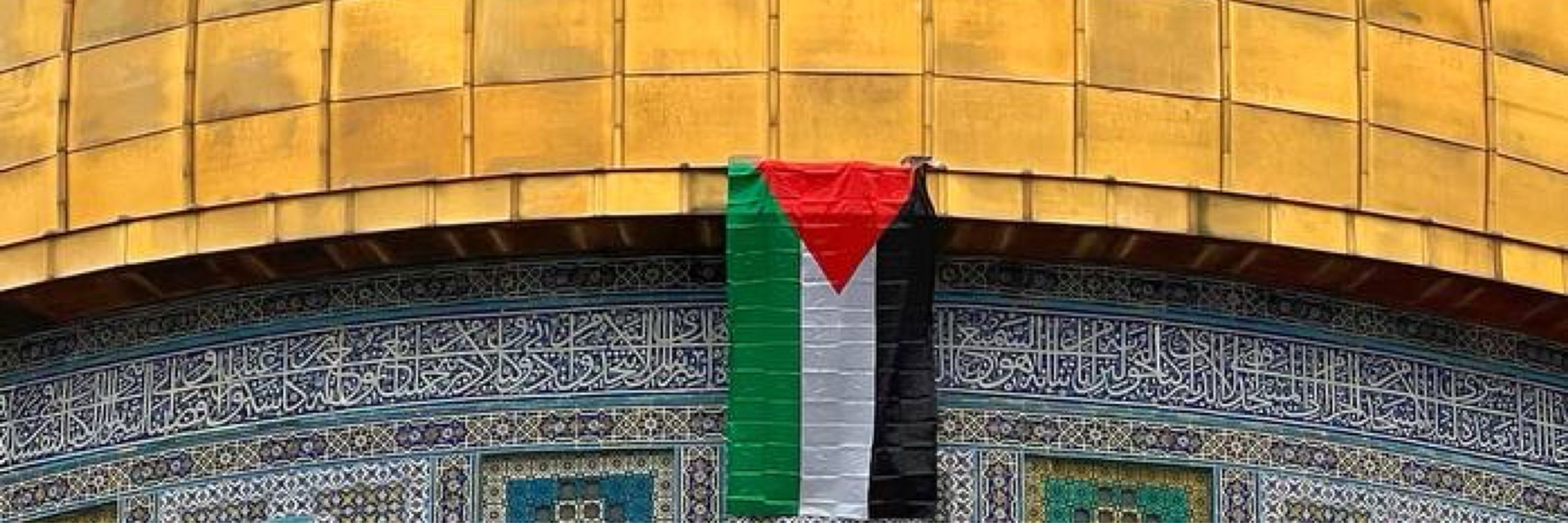 Fatimeh 🇵🇸
