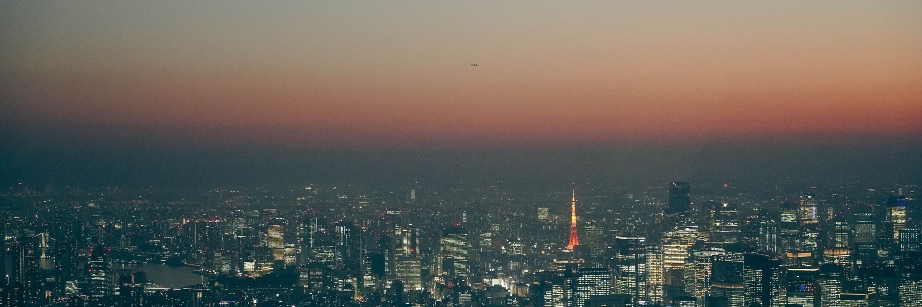 ねぎ