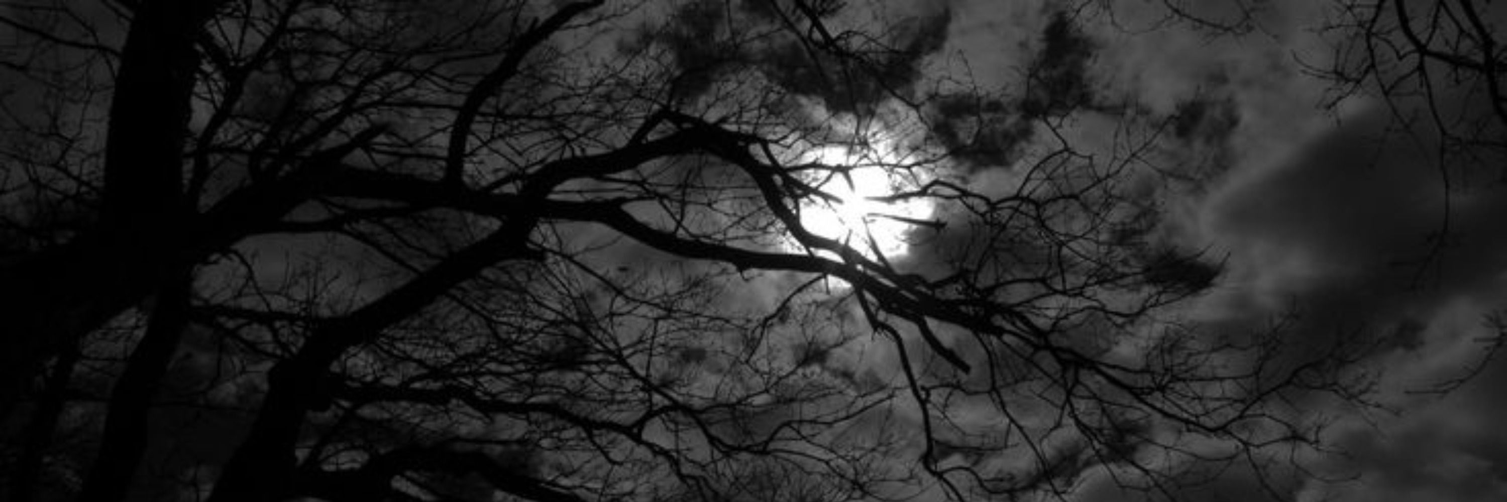 The Moon