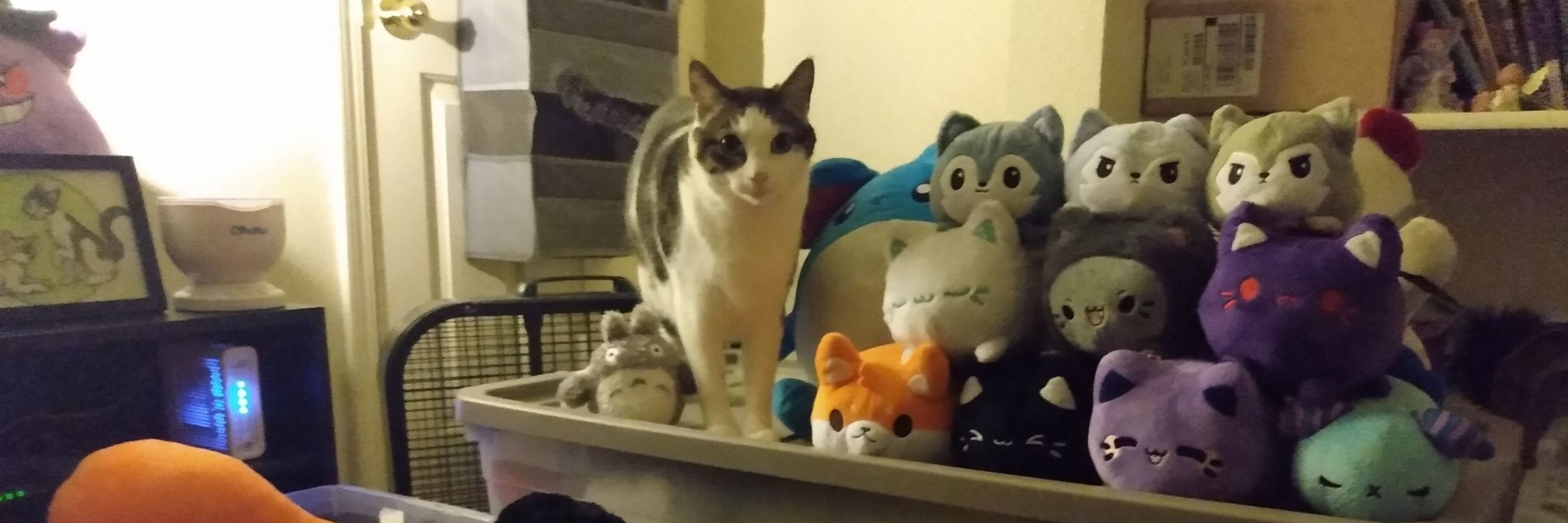 PlushBones