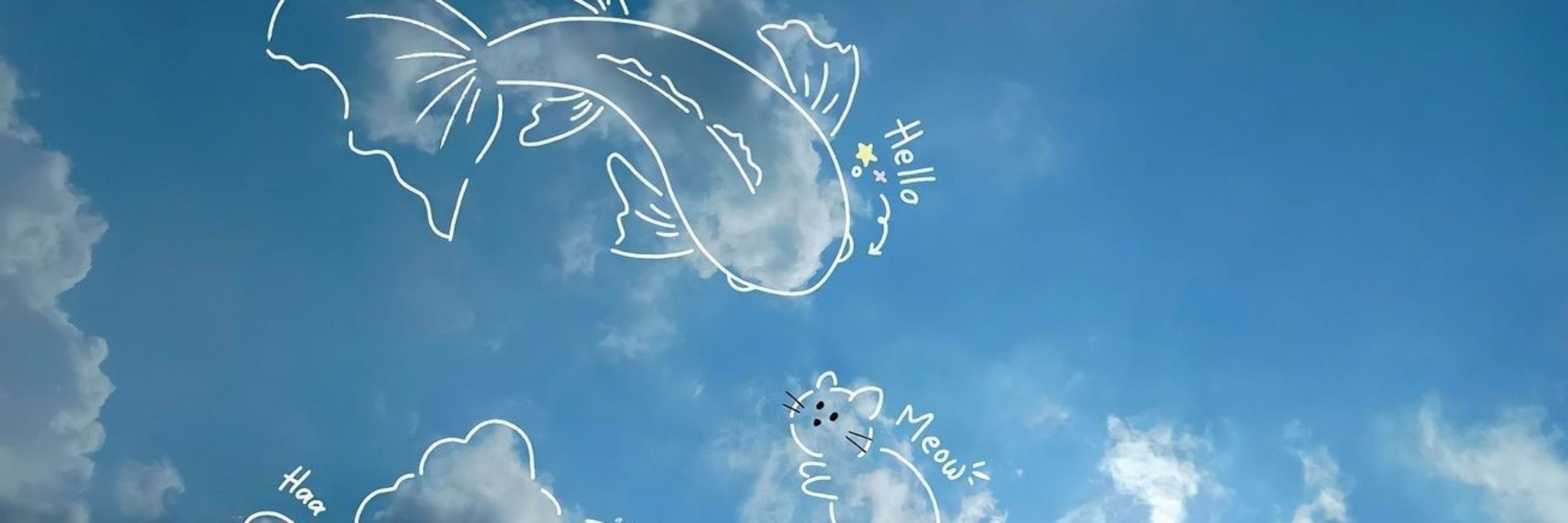 αƙ!.・✫・ოíղs・。.