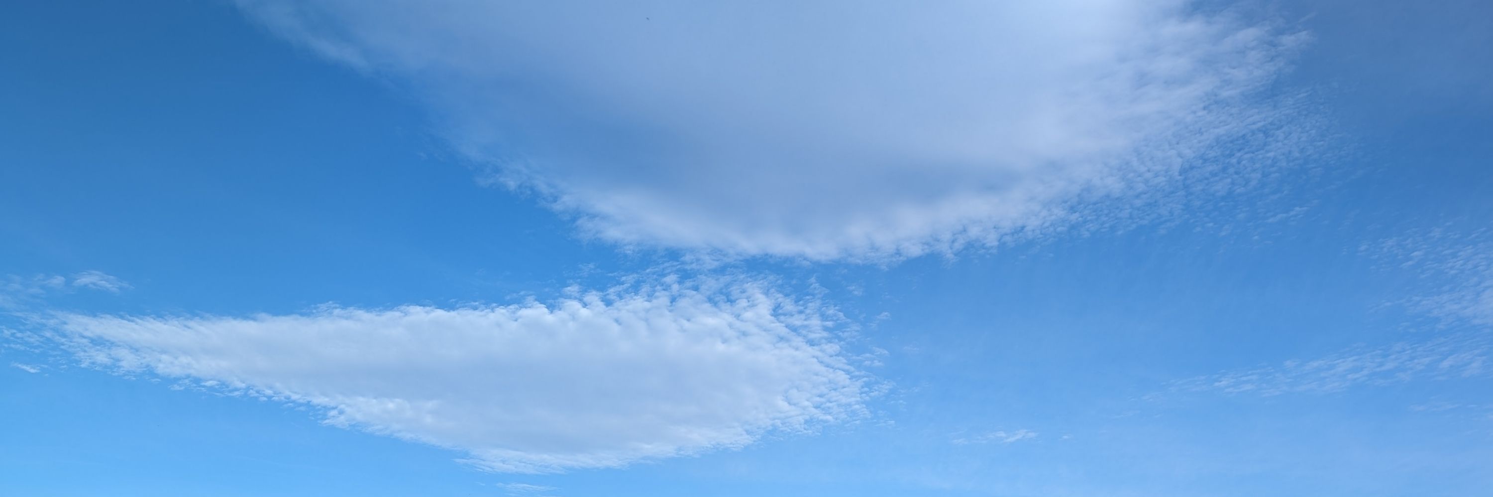 mr.bluesky