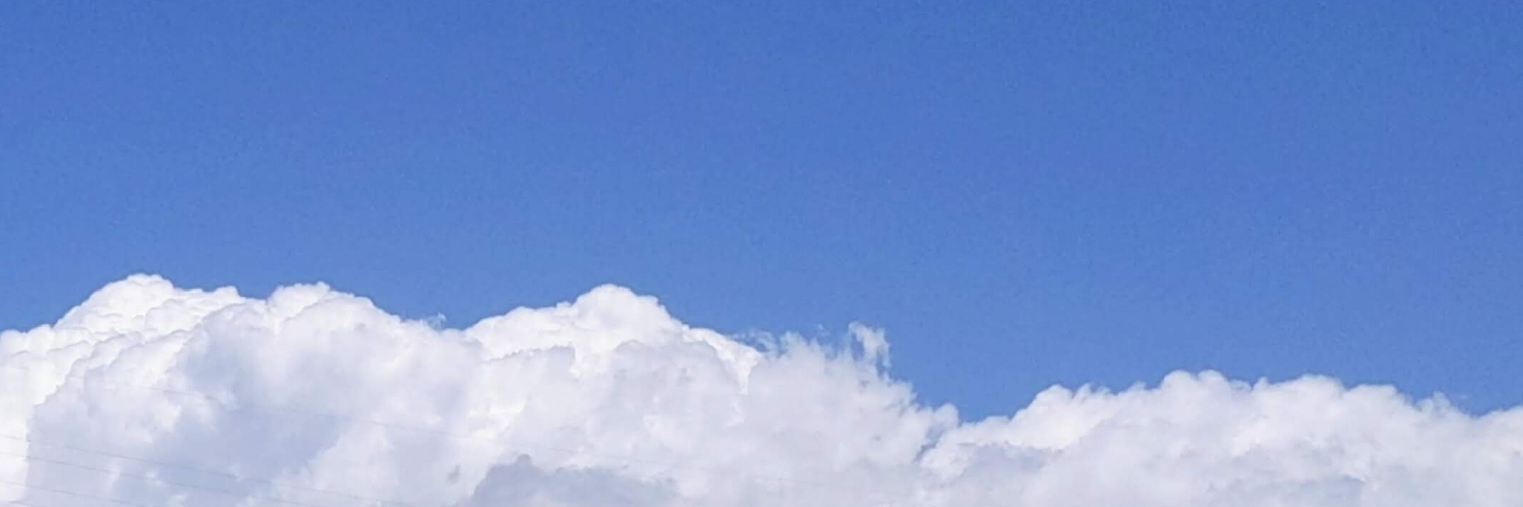 きみひら