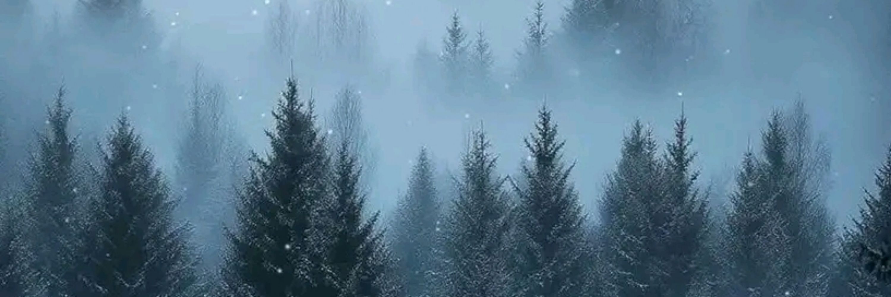 @patrickzielinski042