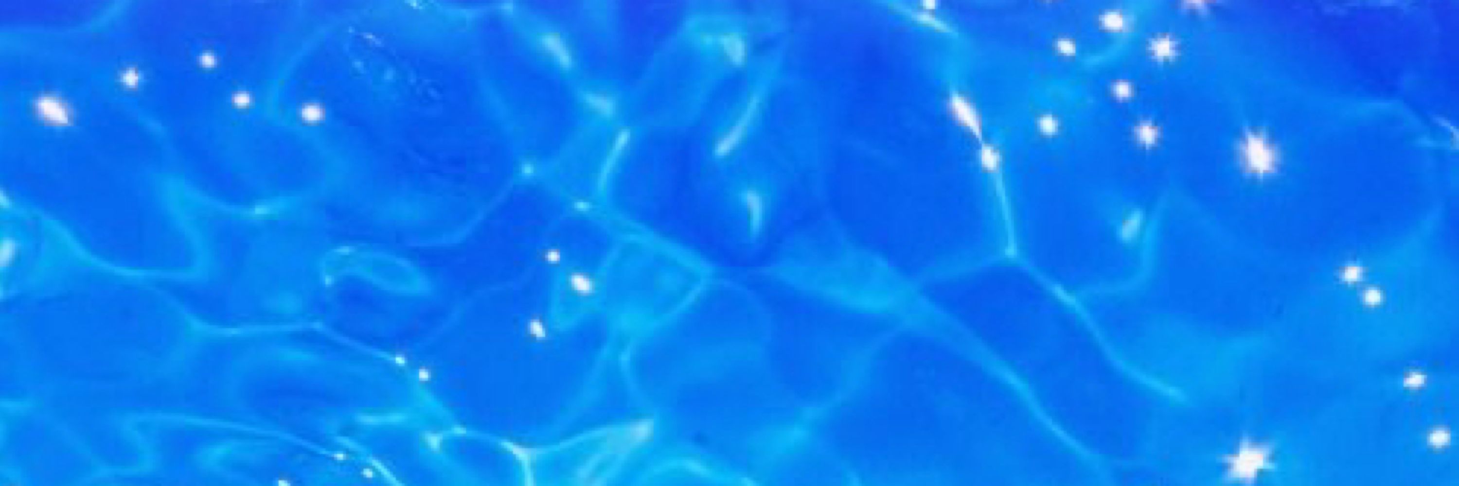 seasttarr