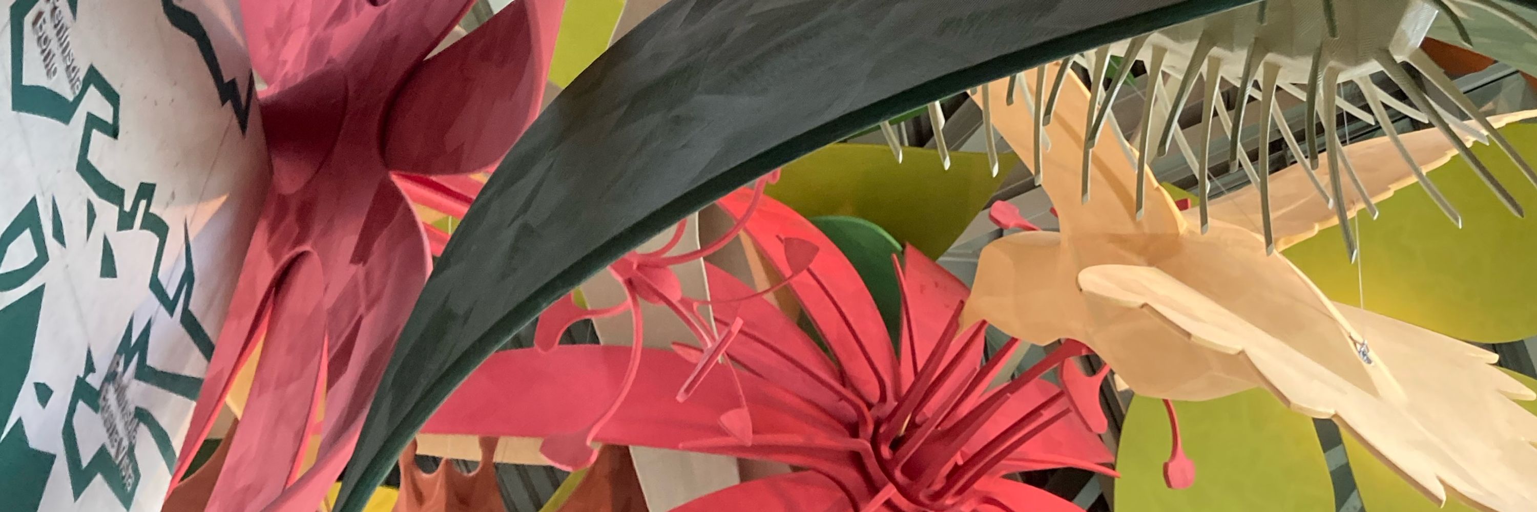 Flor, AAAAA- AAAAAAAAAA—